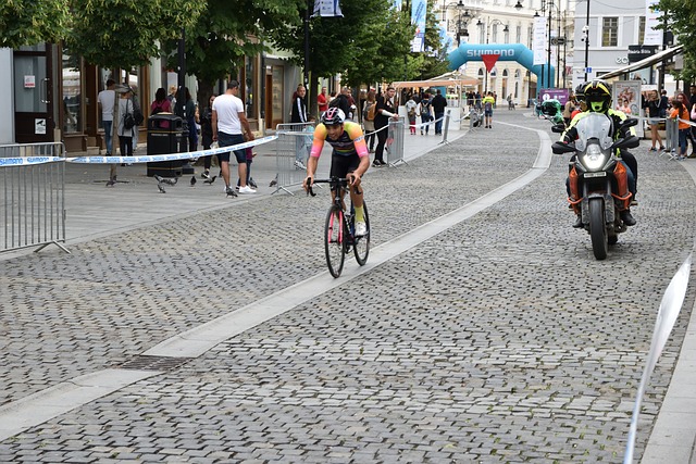 无疑为球迷 无疑为球迷