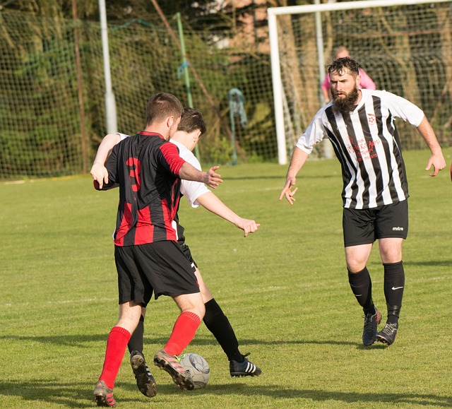 熱刺的成功 熱刺的成功