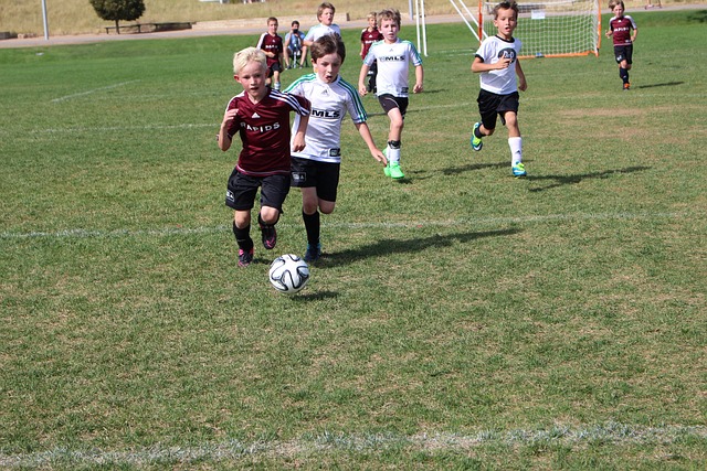 直以来都以 直以来都以