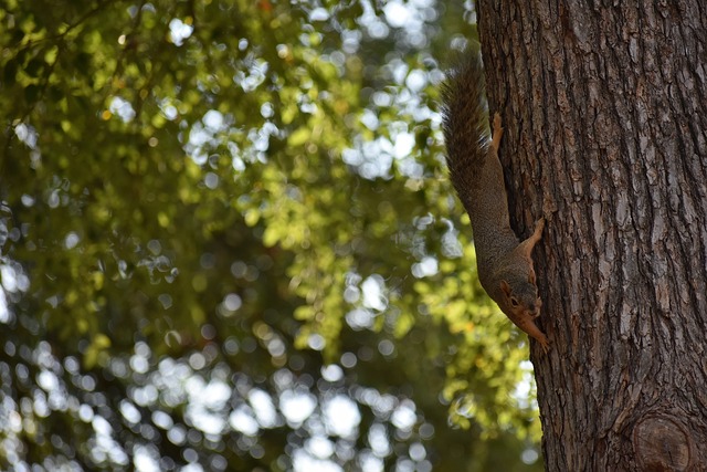 份者的溝通 份者的溝通