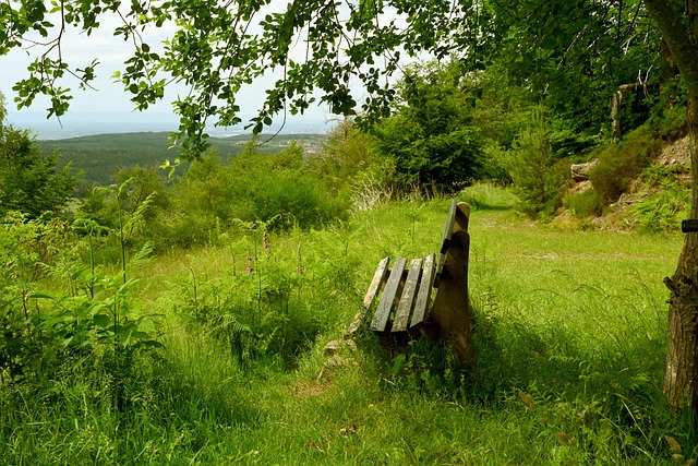 还可能影响 还可能影响