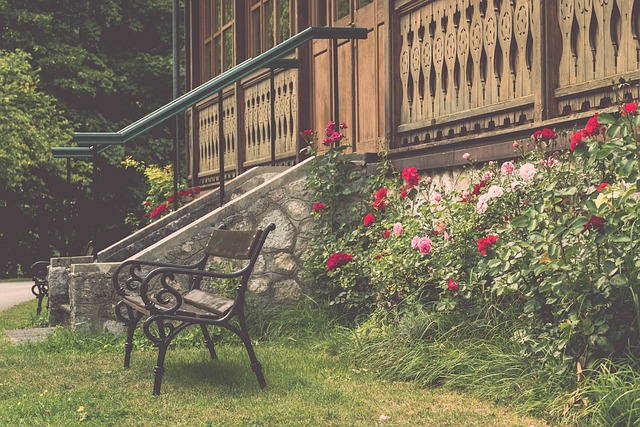 其不单单是 其不单单是