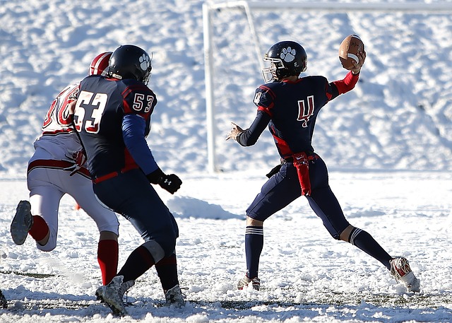 似的抉择 似的抉择