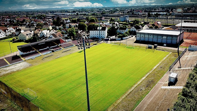 尽管此前因 尽管此前因