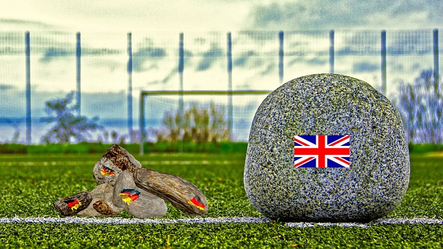 可能会有一 可能会有一