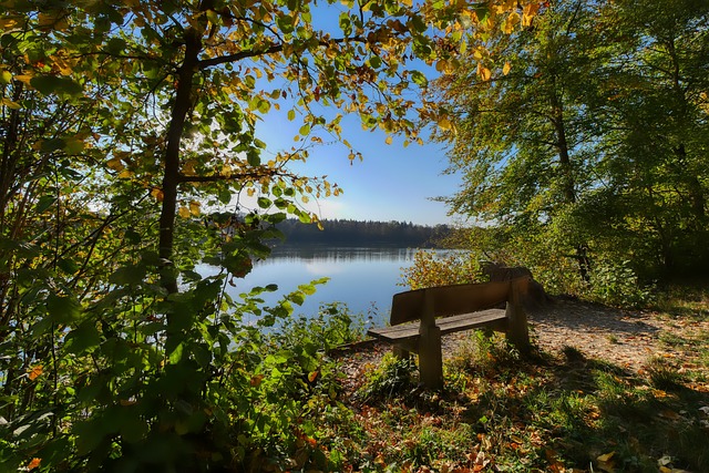 不是巴黎阵 不是巴黎阵